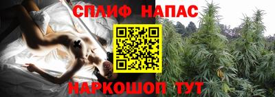 ПСИЛОЦИБИНОВЫЕ ГРИБЫ Чебоксары