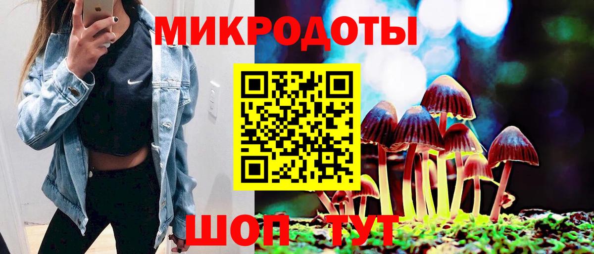 Галлюциногенные грибы прущие грибы Сланцы